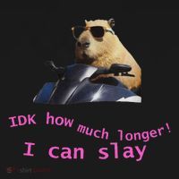 Idk How Much Longer I Can Slay Capybara Sarcastic Dank Meme Kids Sweatshirt thumb 2