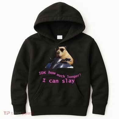 Idk How Much Longer I Can Slay Capybara Sarcastic Dank Meme Kids Hoodie