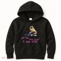 Idk How Much Longer I Can Slay Capybara Sarcastic Dank Meme Kids Hoodie thumb 0