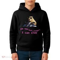 Idk How Much Longer I Can Slay Capybara Sarcastic Dank Meme Kids Hoodie thumb 4