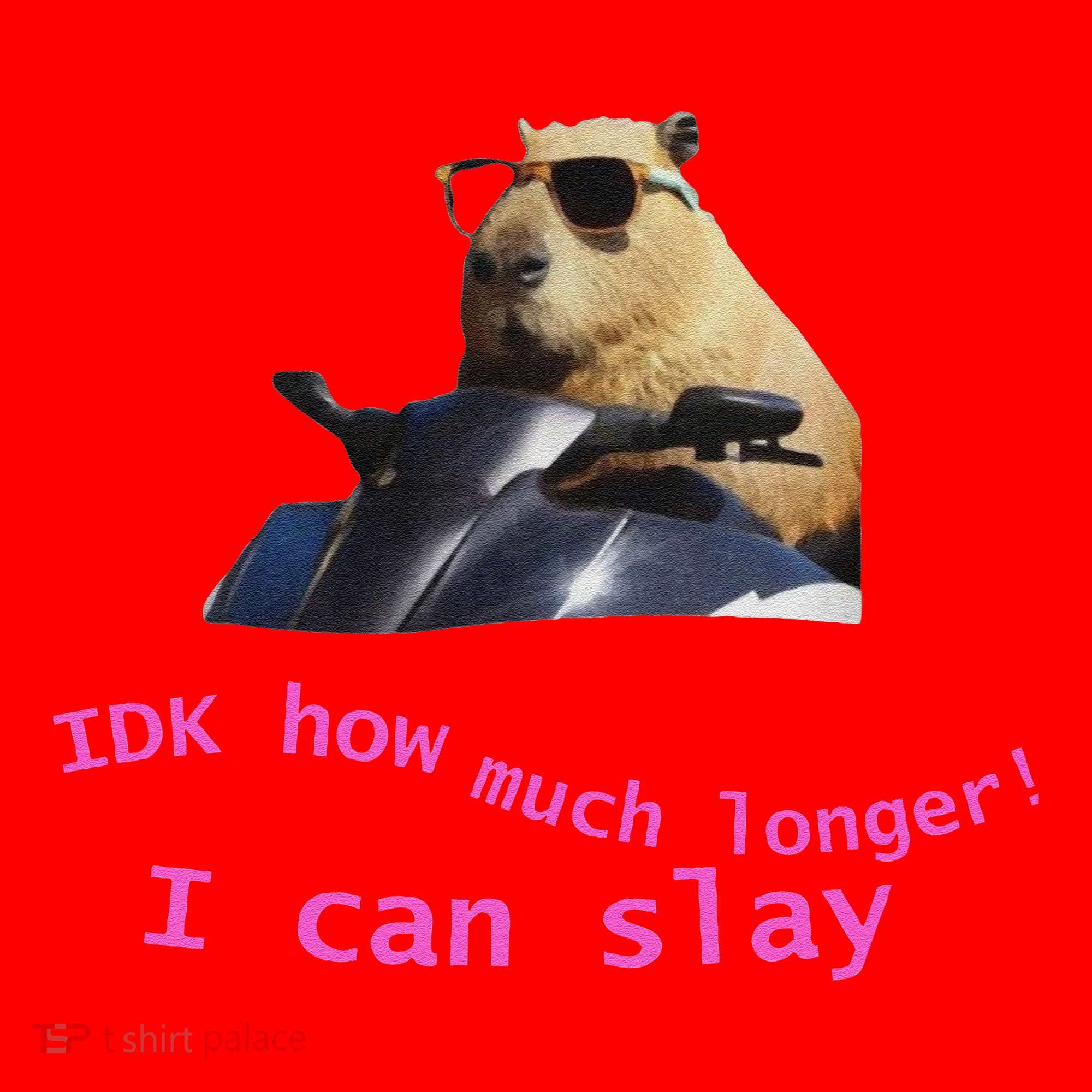 Idk How Much Longer I Can Slay Capybara Sarcastic Dank Meme Santa Hat