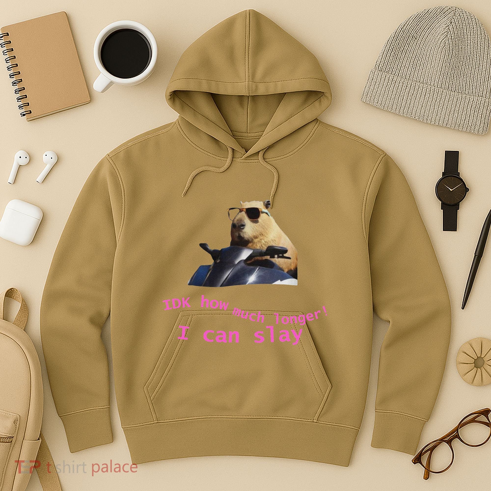 Idk How Much Longer I Can Slay Capybara Sarcastic Dank Meme Hoodie