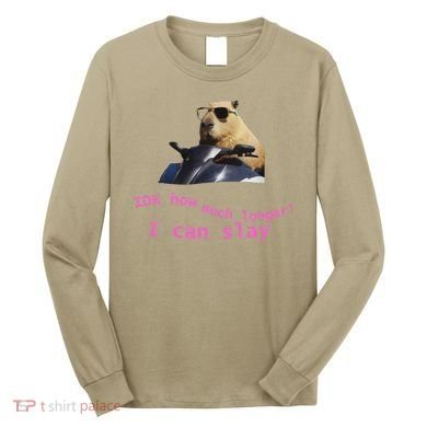 Idk How Much Longer I Can Slay Capybara Sarcastic Dank Meme Long Sleeve Shirt