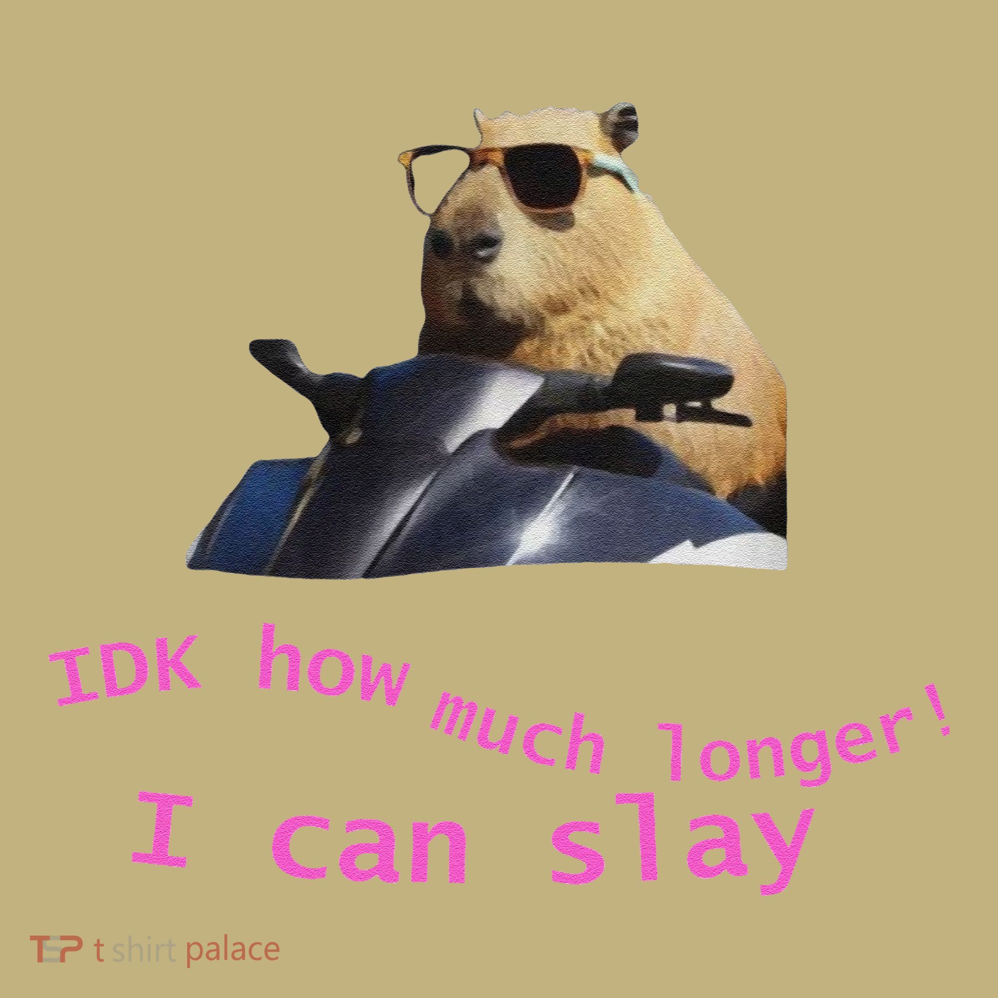 Idk How Much Longer I Can Slay Capybara Sarcastic Dank Meme Long Sleeve Shirt