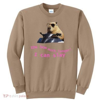 Idk How Much Longer I Can Slay Capybara Sarcastic Dank Meme Sweatshirt