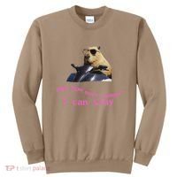 Idk How Much Longer I Can Slay Capybara Sarcastic Dank Meme Sweatshirt thumb 0
