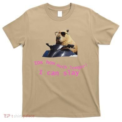 Idk How Much Longer I Can Slay Capybara Sarcastic Dank Meme T-Shirt