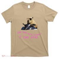 Idk How Much Longer I Can Slay Capybara Sarcastic Dank Meme T-Shirt thumb 0
