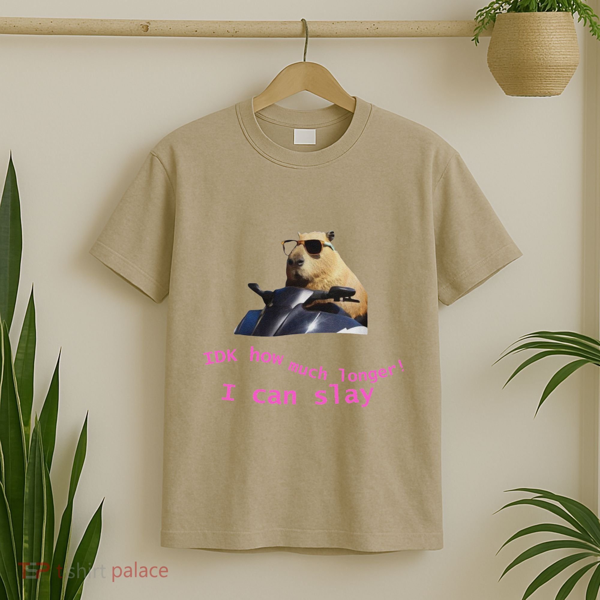 Idk How Much Longer I Can Slay Capybara Sarcastic Dank Meme T-Shirt
