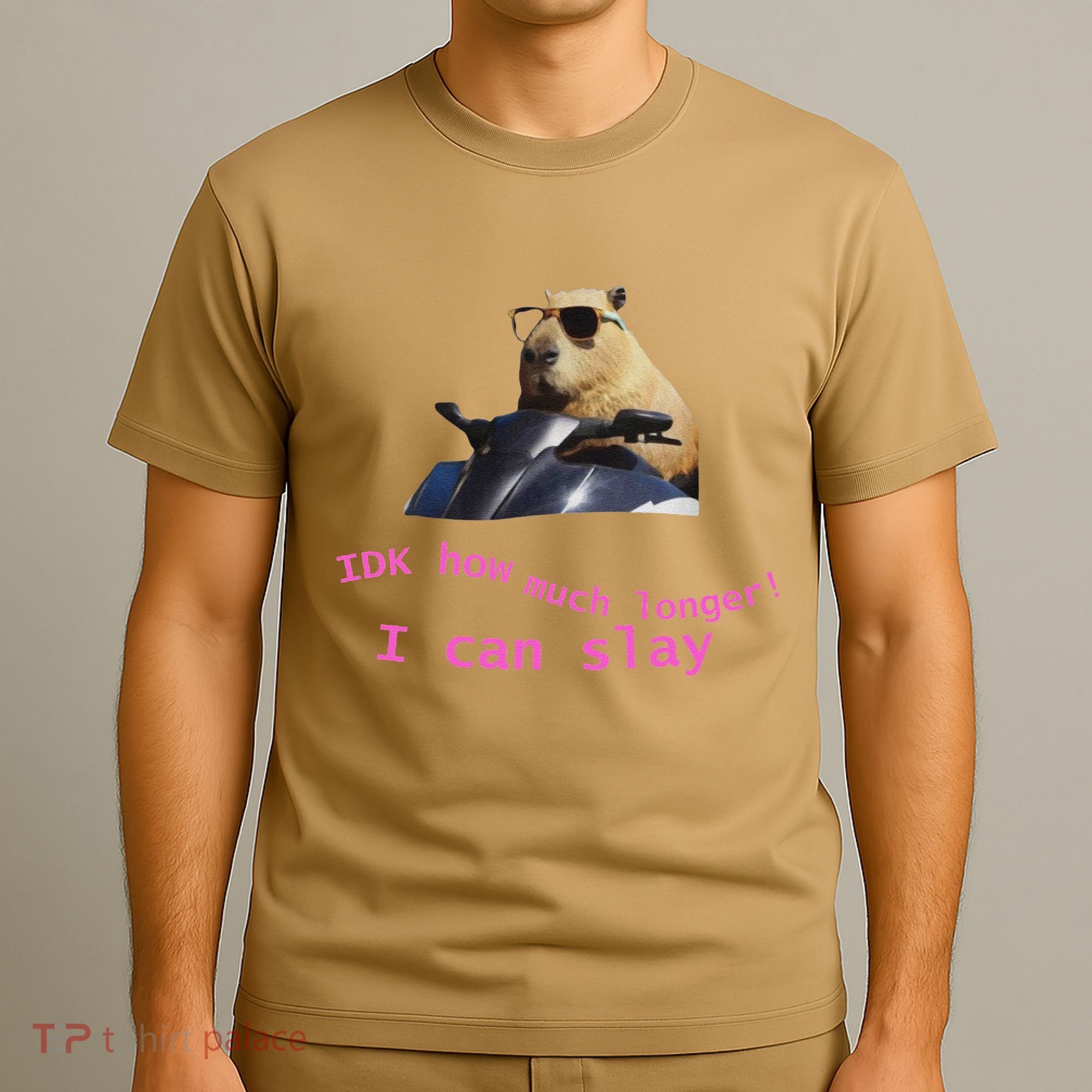 Idk How Much Longer I Can Slay Capybara Sarcastic Dank Meme T-Shirt