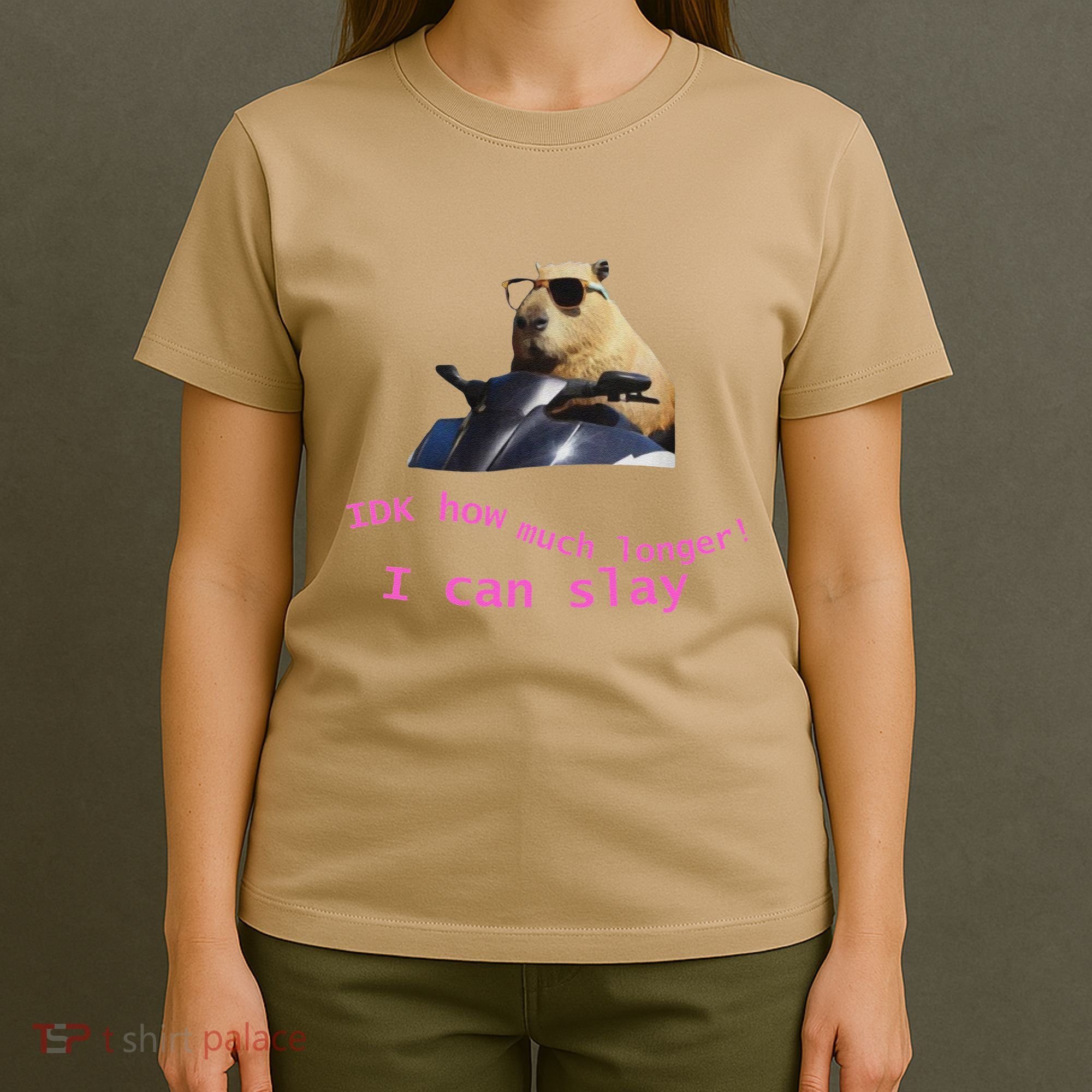 Idk How Much Longer I Can Slay Capybara Sarcastic Dank Meme T-Shirt