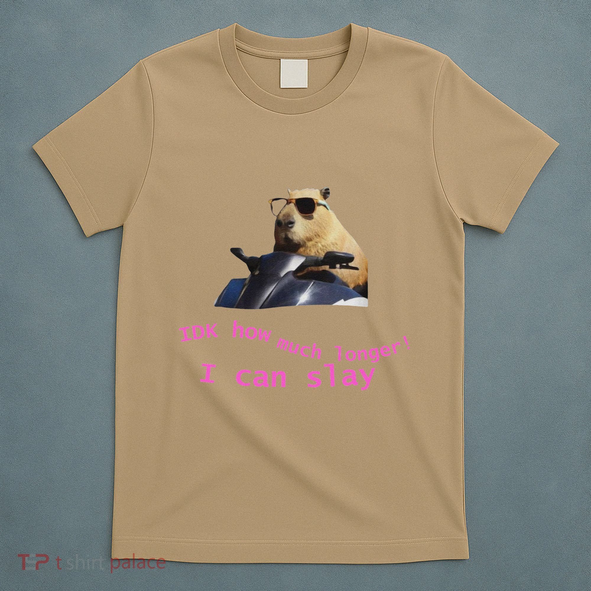 Idk How Much Longer I Can Slay Capybara Sarcastic Dank Meme T-Shirt