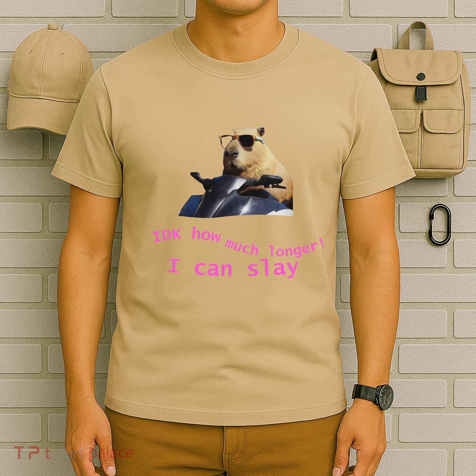 Idk How Much Longer I Can Slay Capybara Sarcastic Dank Meme T-Shirt