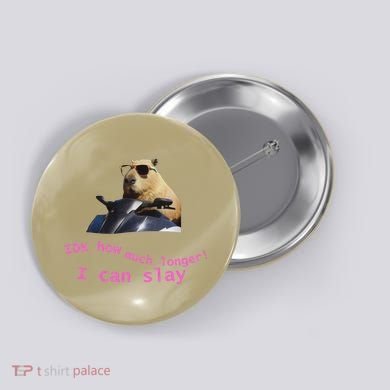 Idk How Much Longer I Can Slay Capybara Sarcastic Dank Meme Button