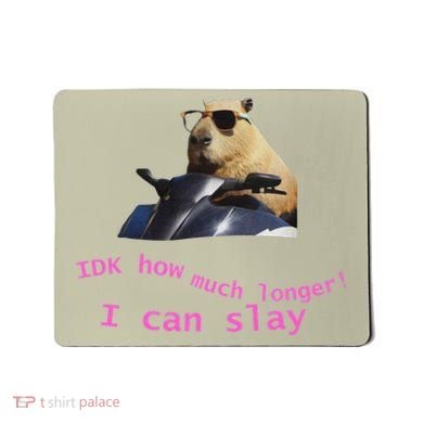 Idk How Much Longer I Can Slay Capybara Sarcastic Dank Meme Mousepad