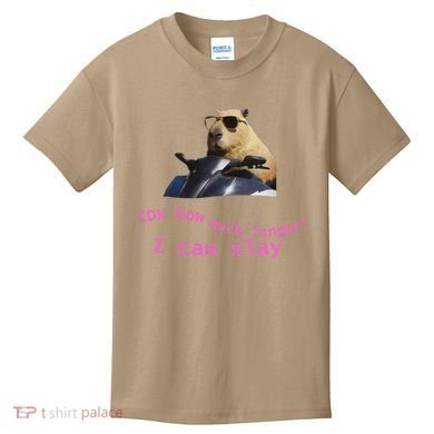 Idk How Much Longer I Can Slay Capybara Sarcastic Dank Meme Kids T-Shirt