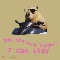 Idk How Much Longer I Can Slay Capybara Sarcastic Dank Meme Kids T-Shirt thumb 2