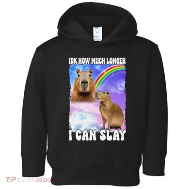 Toddler Hoodie