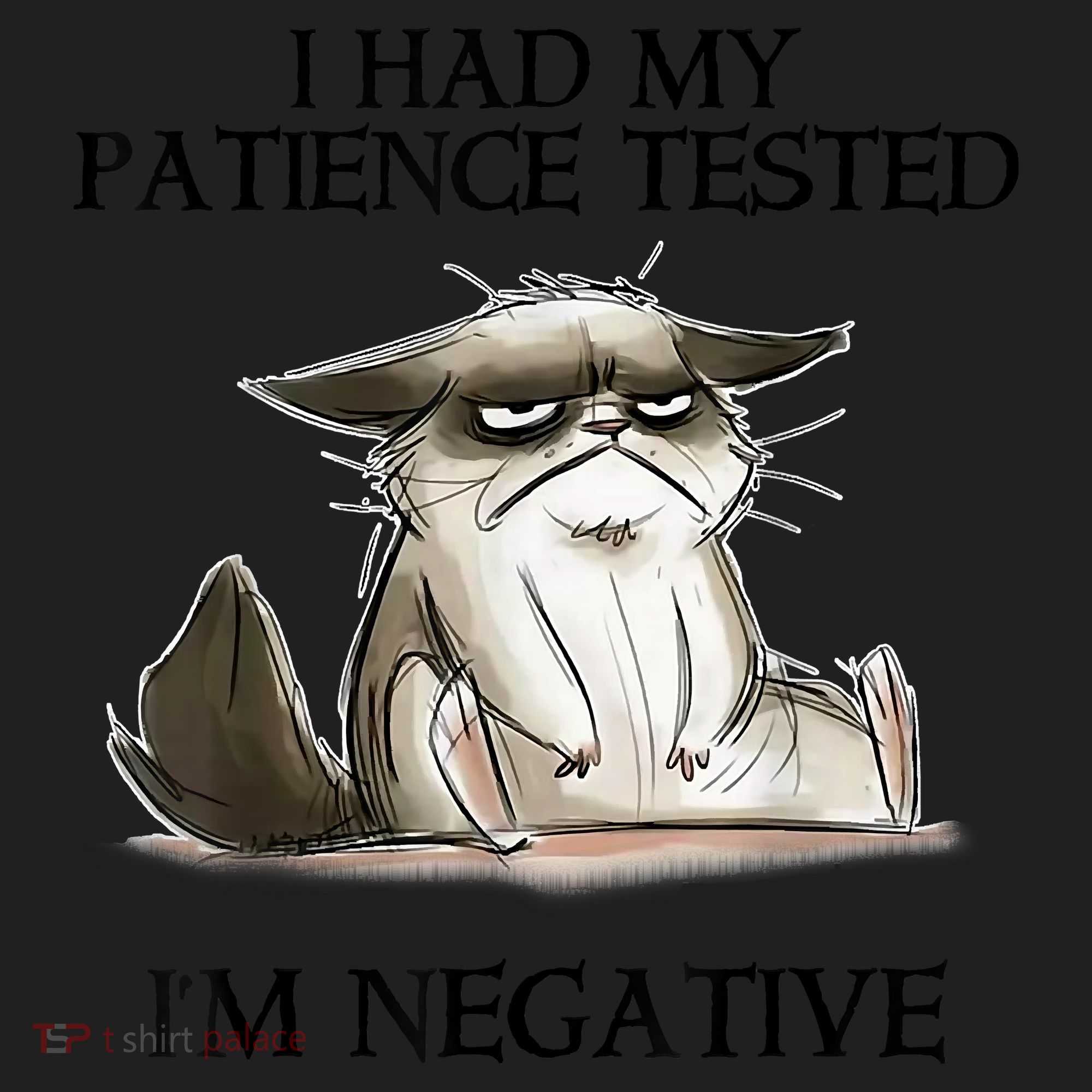 I Had My Patience Tested I'm Negative Cat Funny Beanie