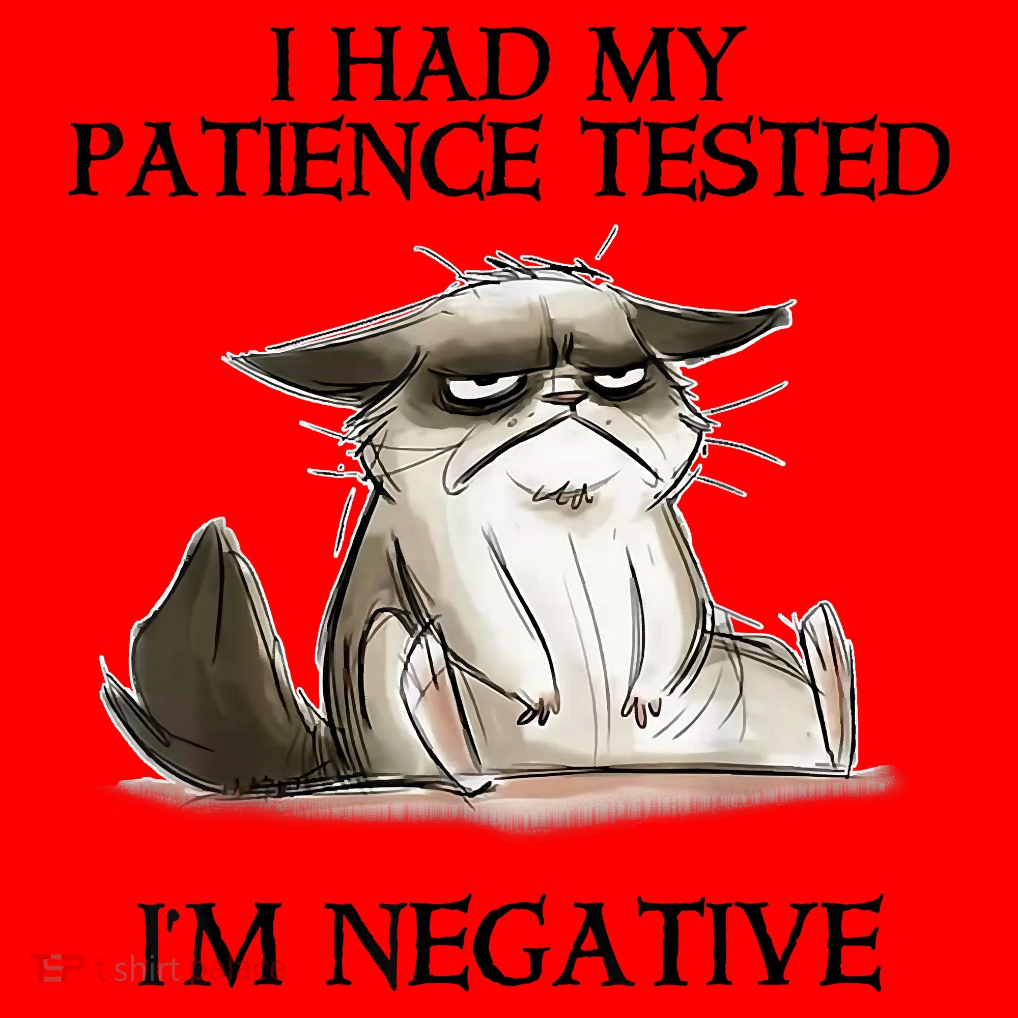 I Had My Patience Tested I'm Negative Cat Funny Santa Hat