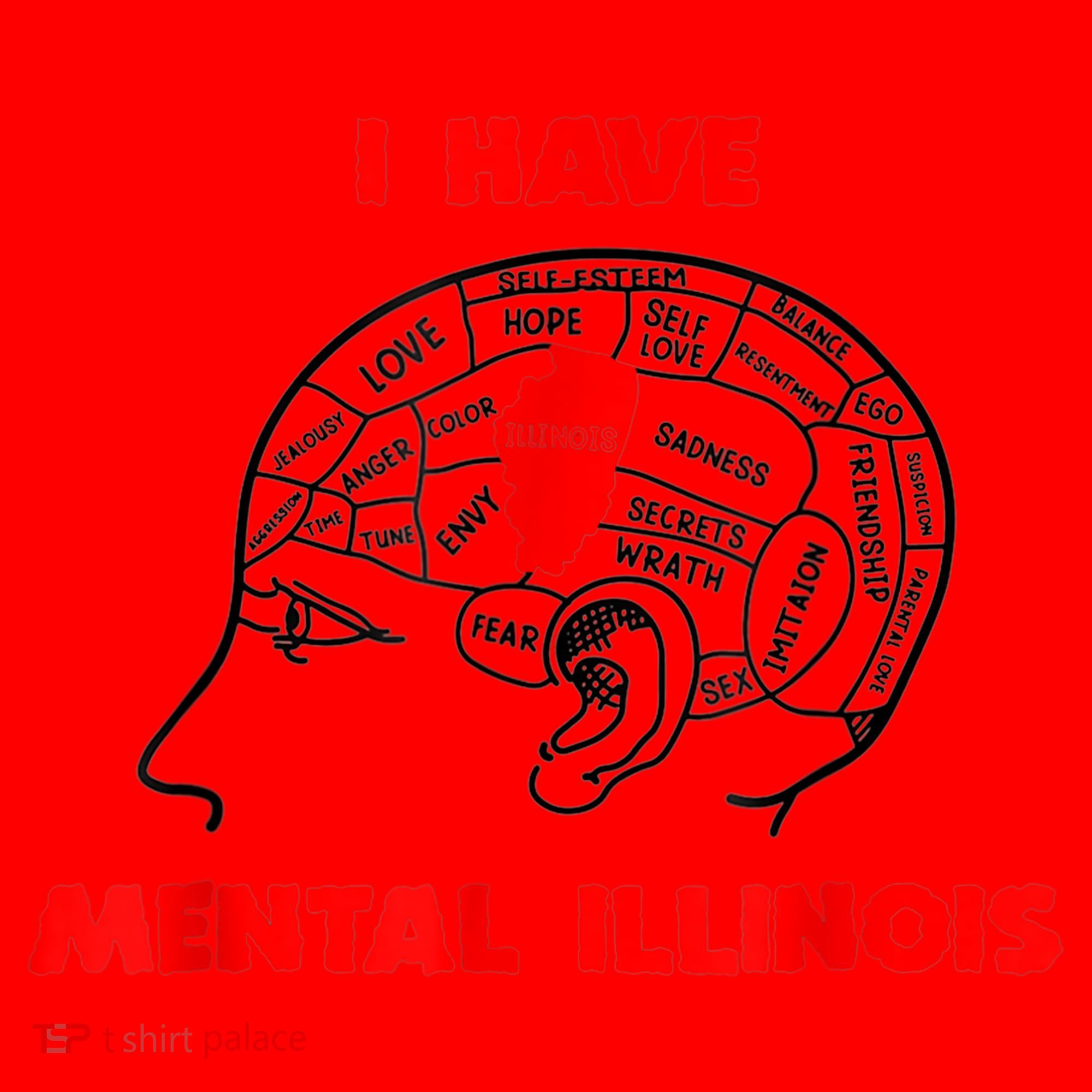 I Have Mental Illinois Funny Pun, Illinoisan Humor Santa Hat