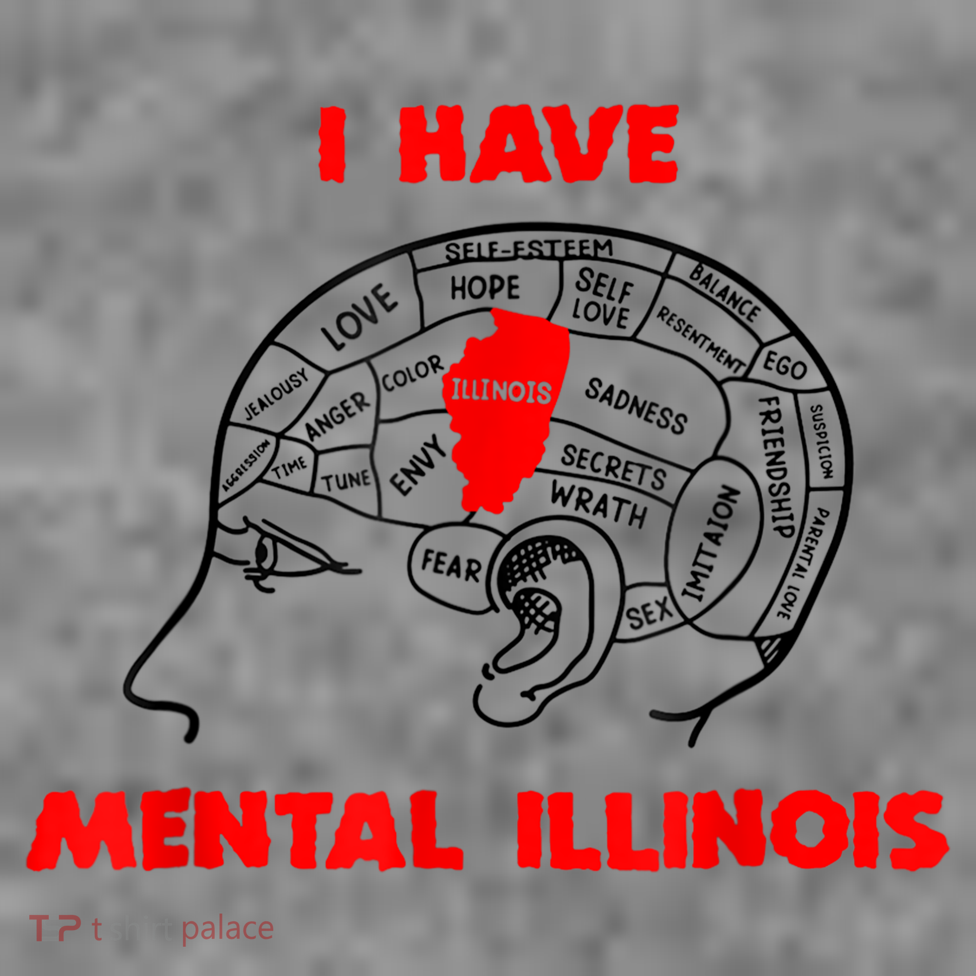 I Have Mental Illinois Funny Pun, Illinoisan Humor Toddler Hoodie