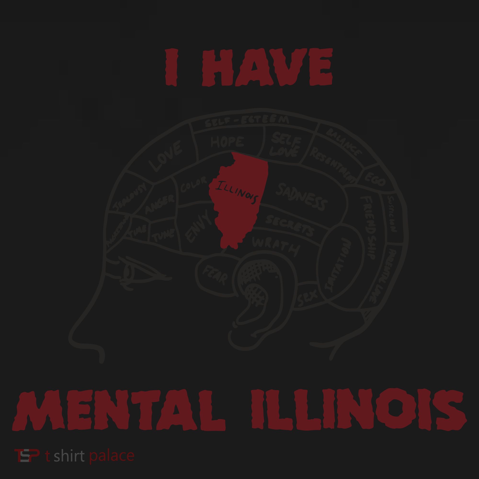 I Have Mental Illinois Mental Illness Mental Health Toddler Hoodie