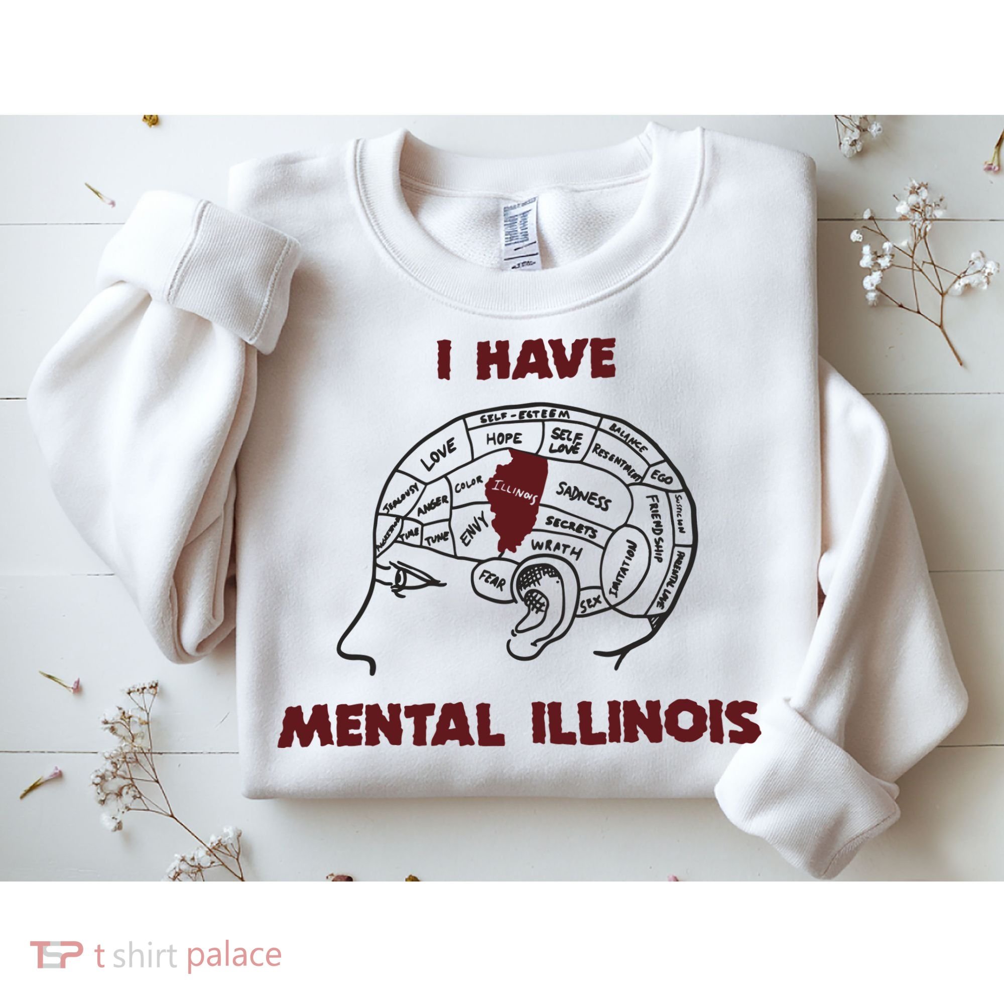I Have Mental Illinois Mental Illness Mental Health Sweatshirt