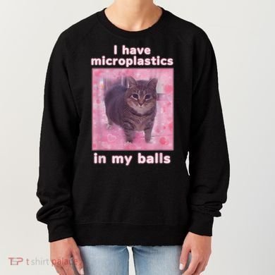 I Have Microplastics In My Balls Funny Cat Meme Dank Meme Women's Sweatshirt