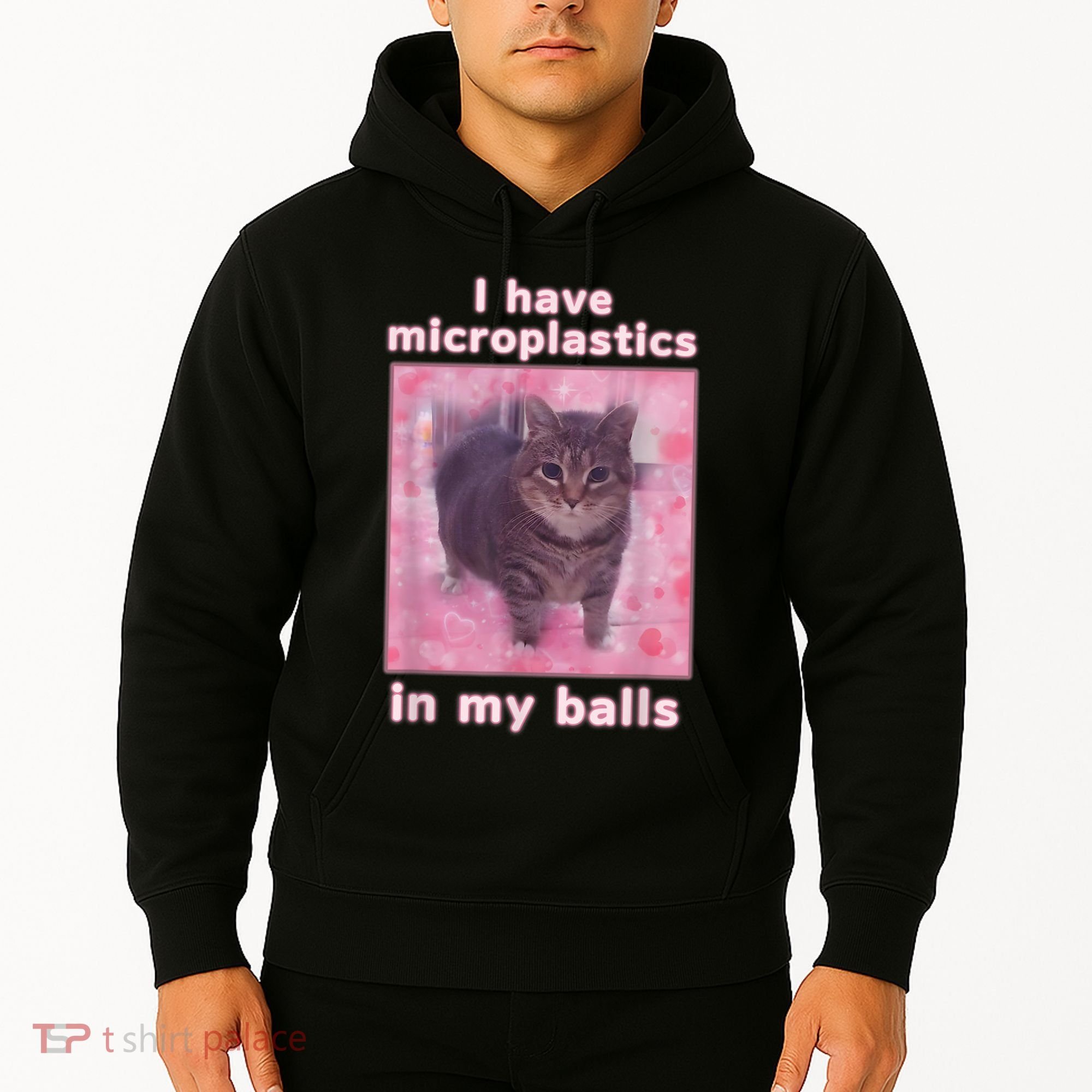 I Have Microplastics In My Balls Funny Cat Meme Dank Meme Hoodie