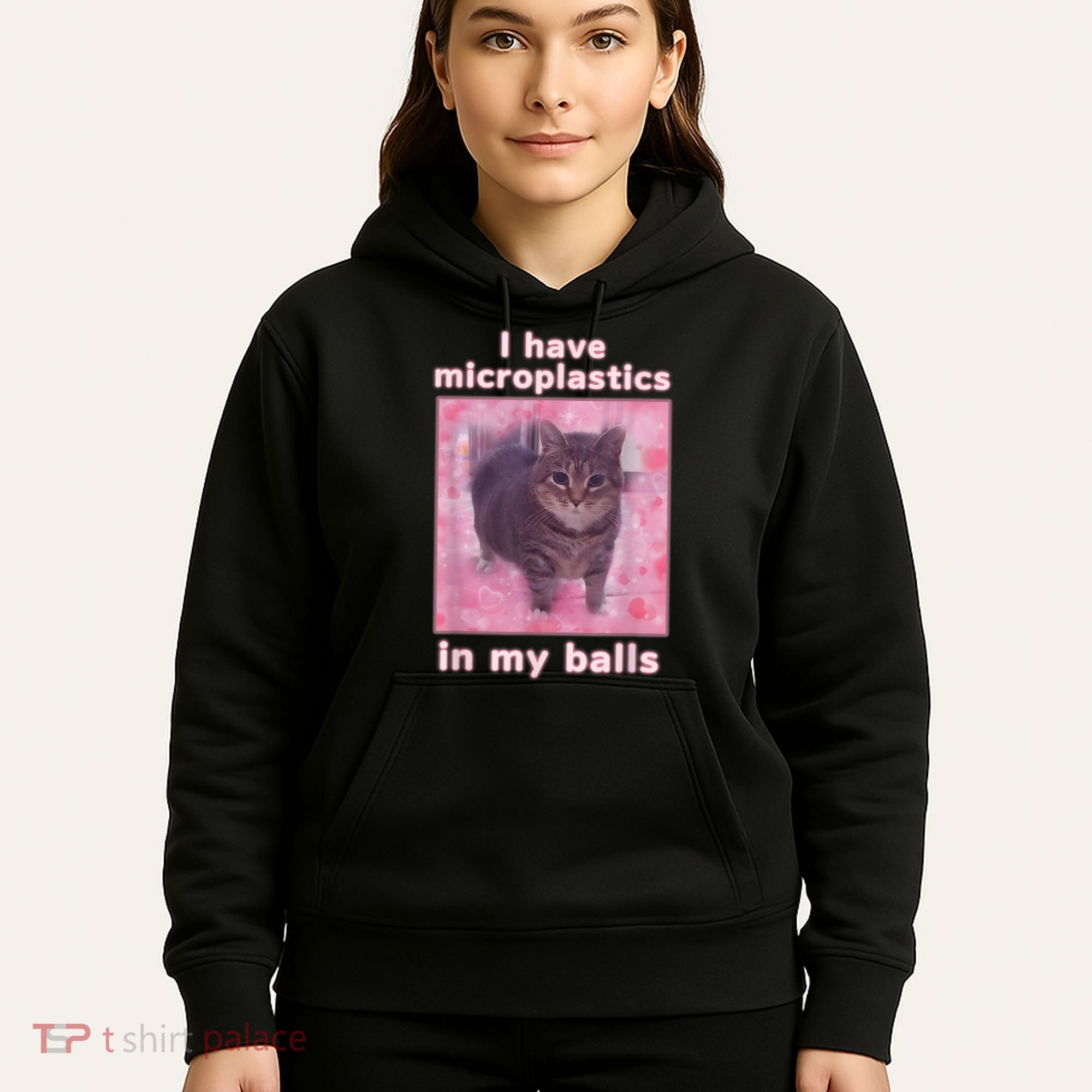 I Have Microplastics In My Balls Funny Cat Meme Dank Meme Hoodie