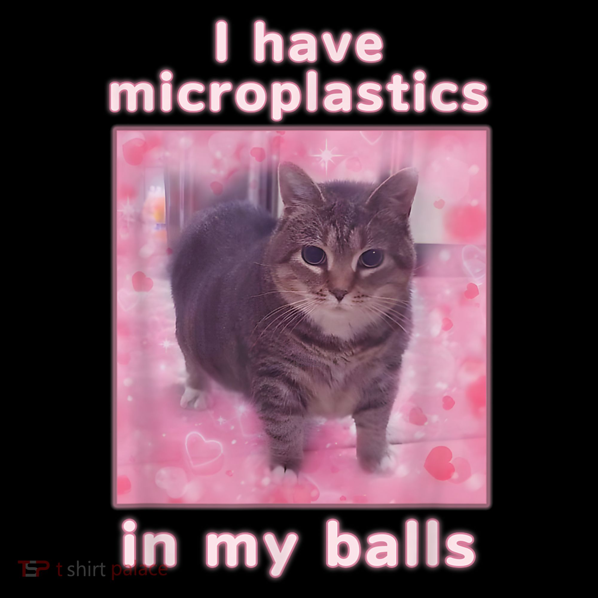 I Have Microplastics In My Balls Funny Cat Meme Dank Meme Hoodie