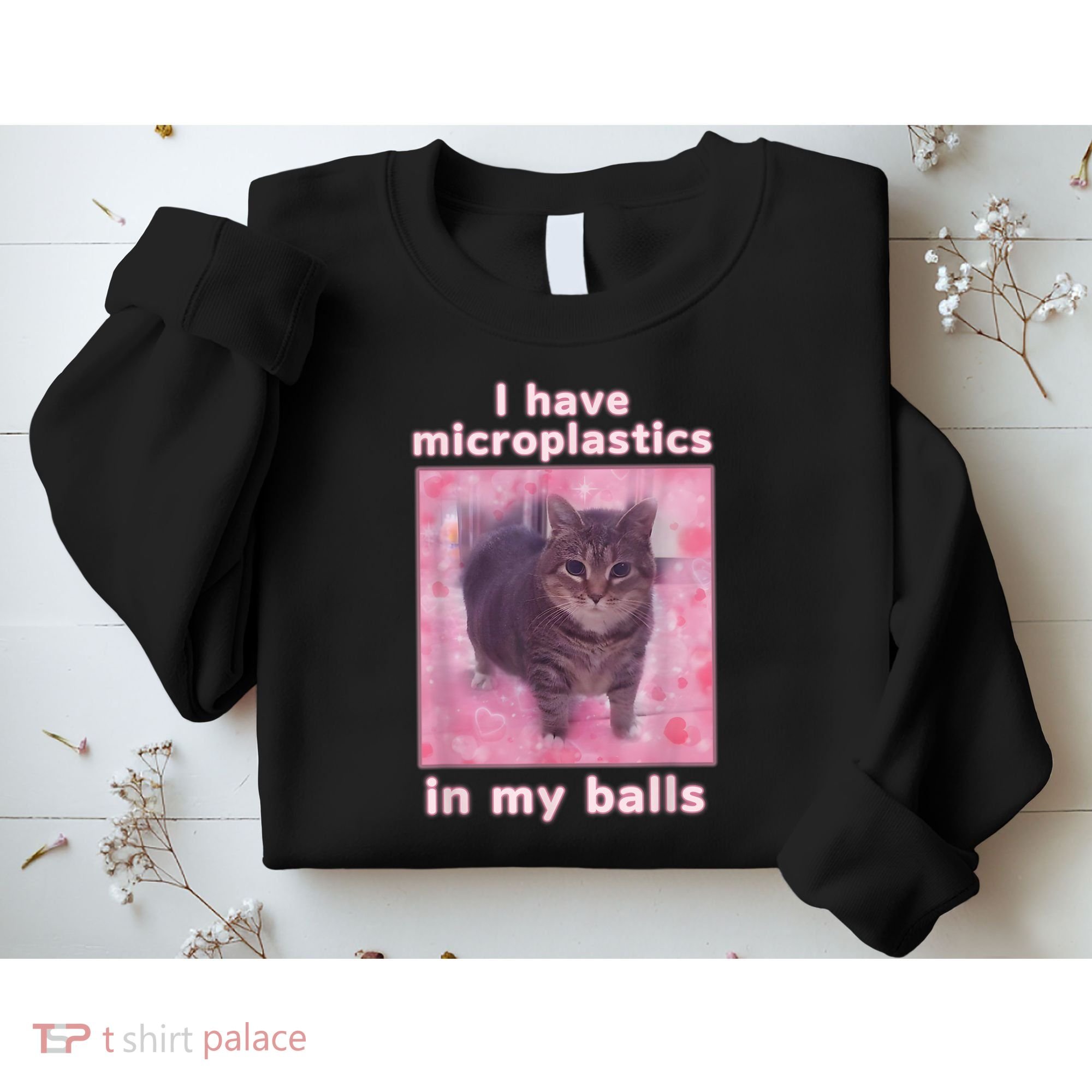 I Have Microplastics In My Balls Funny Cat Meme Dank Meme Sweatshirt