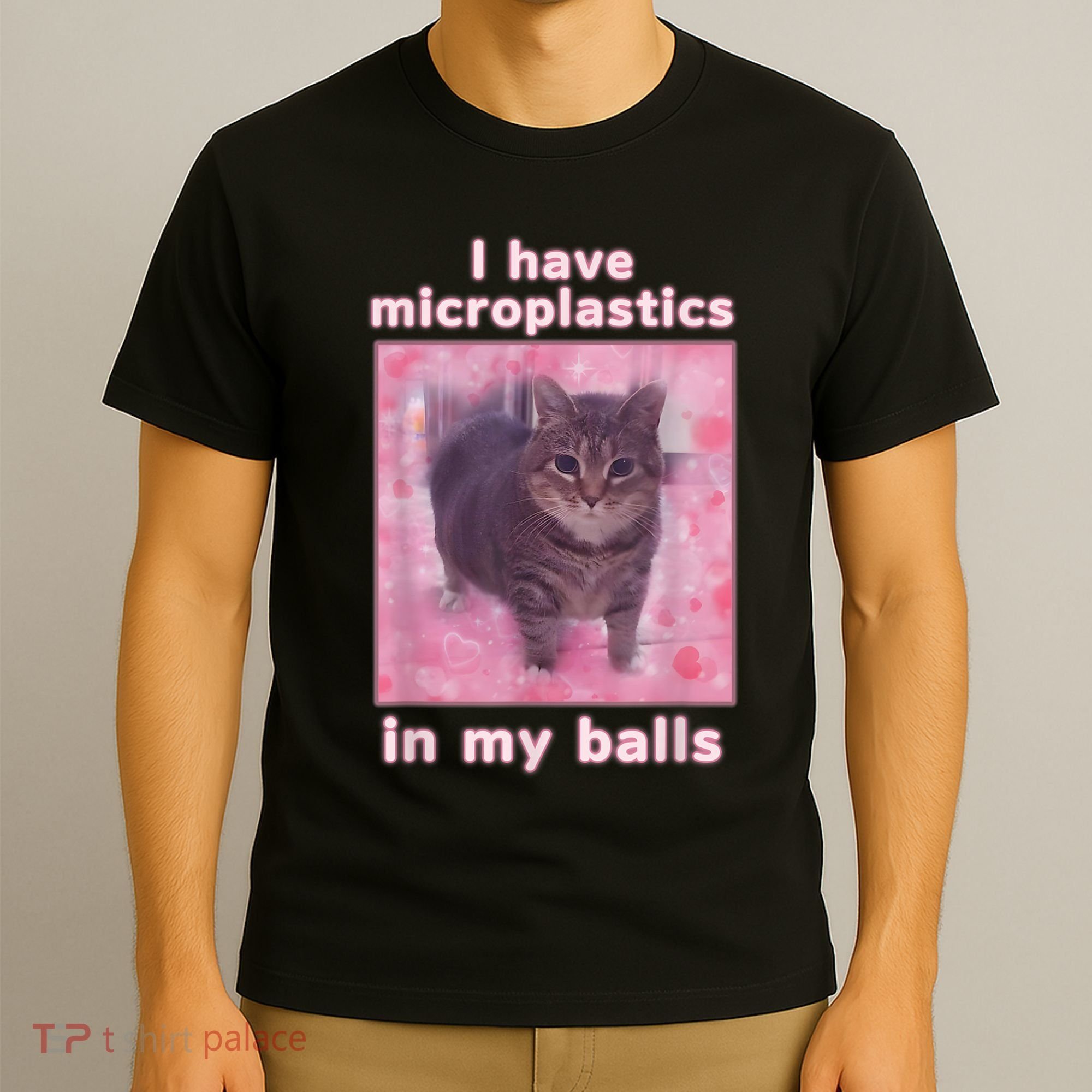 I Have Microplastics In My Balls Funny Cat Meme Dank Meme T-Shirt