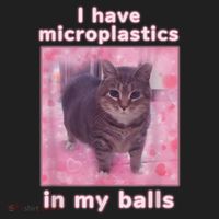 I Have Microplastics In My Balls Funny Cat Meme Dank Meme Hat thumb 2