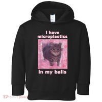 I Have Microplastics In My Balls Funny Cat Meme Dank Meme Toddler Hoodie thumb 0