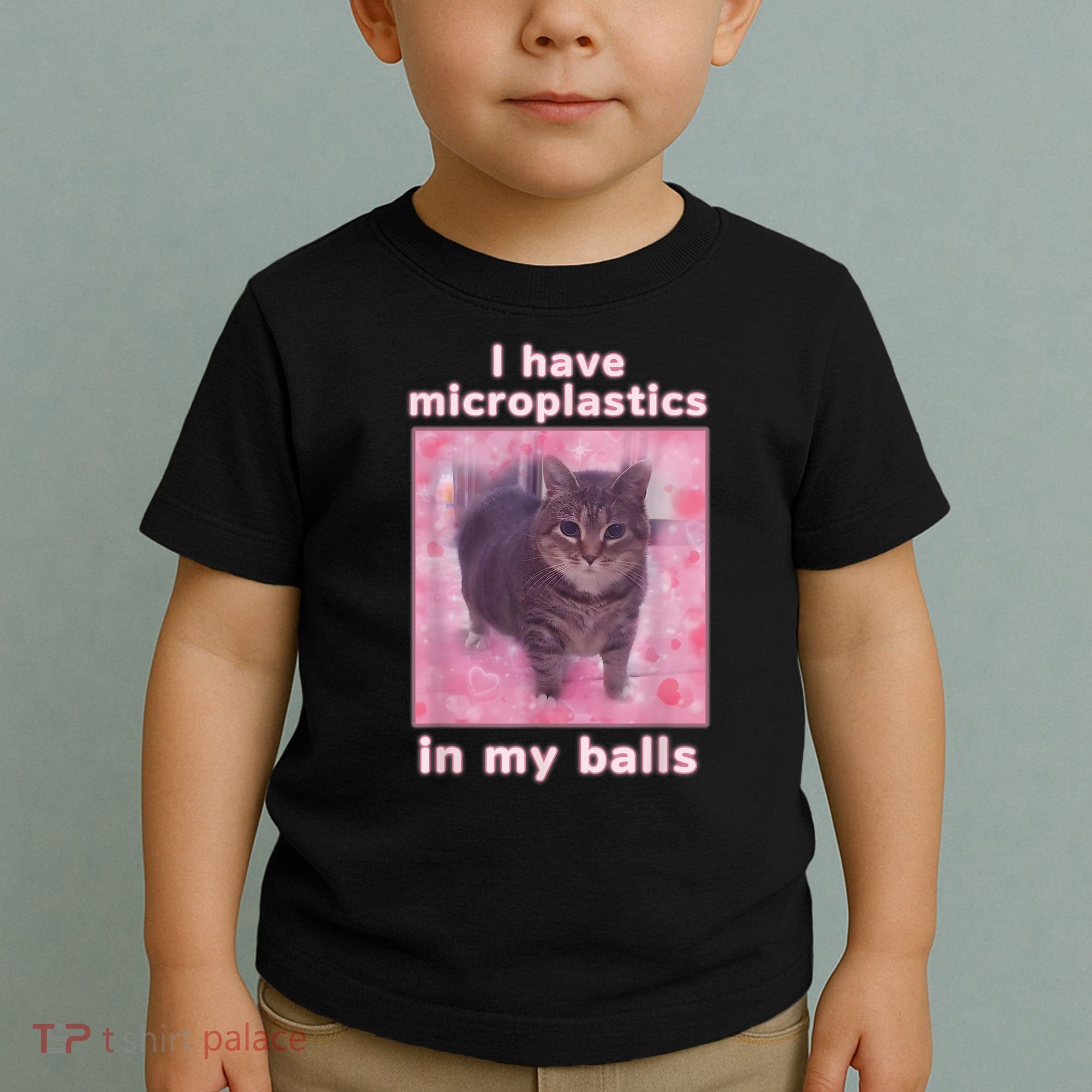 I Have Microplastics In My Balls Funny Cat Meme Dank Meme Toddler T-Shirt