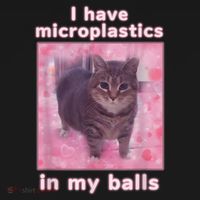 I Have Microplastics In My Balls Funny Cat Meme Dank Meme Women's Long Sleeve Shirt thumb 2