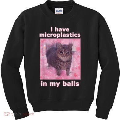 I Have Microplastics In My Balls Funny Cat Meme Dank Meme Kids Sweatshirt