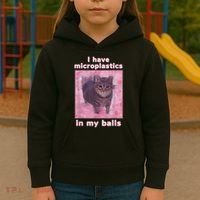 I Have Microplastics In My Balls Funny Cat Meme Dank Meme Kids Hoodie thumb 3