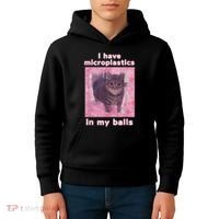 I Have Microplastics In My Balls Funny Cat Meme Dank Meme Kids Hoodie thumb 4