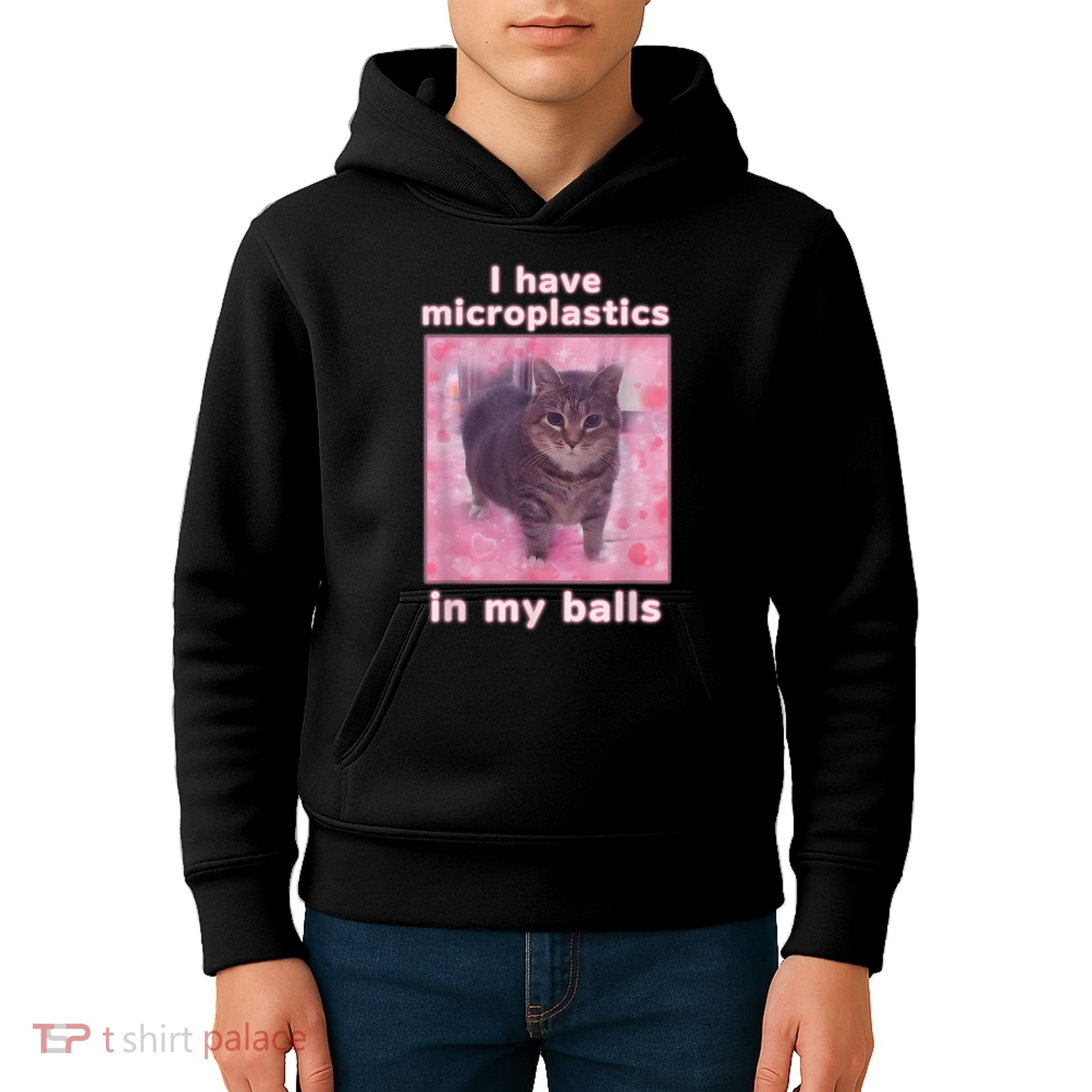 I Have Microplastics In My Balls Funny Cat Meme Dank Meme Kids Hoodie