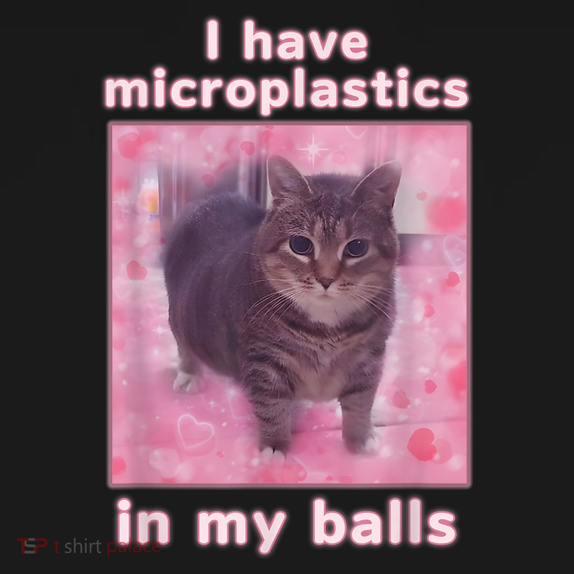 I Have Microplastics In My Balls Funny Cat Meme Dank Meme Kids T-Shirt