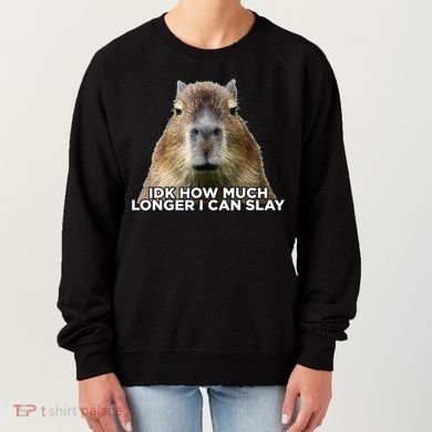 Idk How Much Longer I Can Slay Capybara Sarcastic Dank Meme Women's Sweatshirt