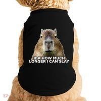 Idk How Much Longer I Can Slay Capybara Sarcastic Dank Meme Doggie Tank thumb 0
