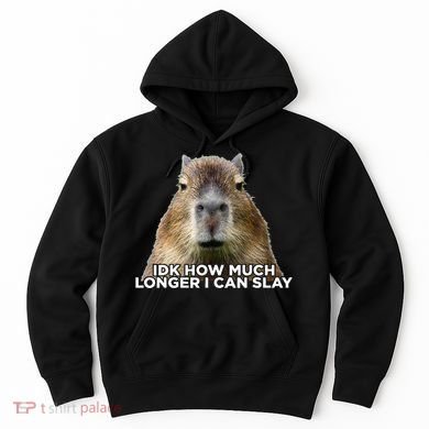 Idk How Much Longer I Can Slay Capybara Sarcastic Dank Meme Hoodie
