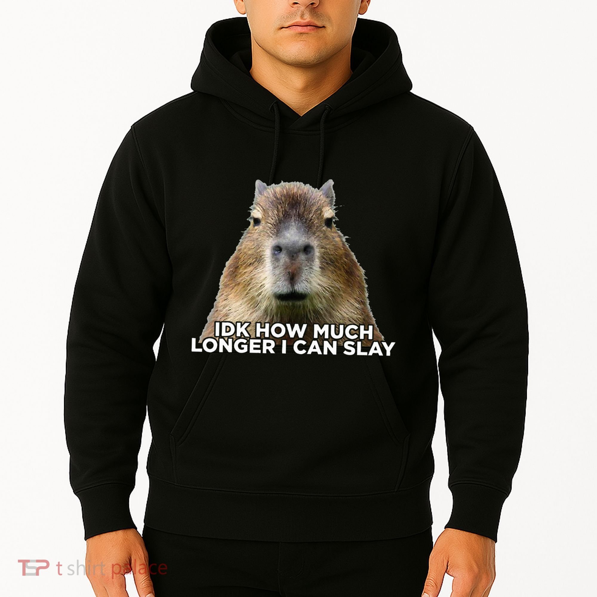 Idk How Much Longer I Can Slay Capybara Sarcastic Dank Meme Hoodie