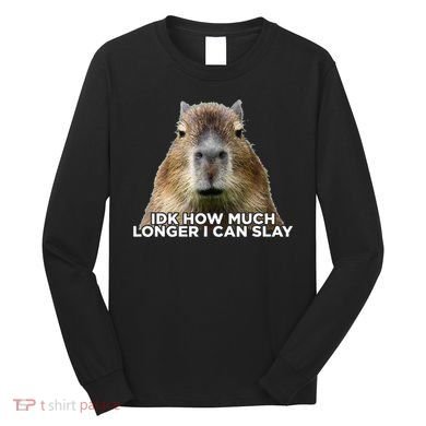 Idk How Much Longer I Can Slay Capybara Sarcastic Dank Meme Long Sleeve Shirt