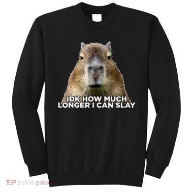 Idk How Much Longer I Can Slay Capybara Sarcastic Dank Meme Sweatshirt