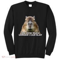 Idk How Much Longer I Can Slay Capybara Sarcastic Dank Meme Sweatshirt thumb 0